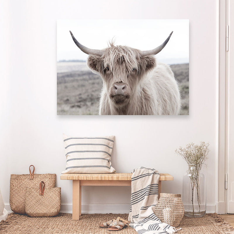 Shop Highland Cow II Photo Canvas Print a photography framed stretched canvas print from The Print Emporium wall artwork collection - Buy Australian made prints for the home and your interior decor space, TPE-305-CA-35X46-NF