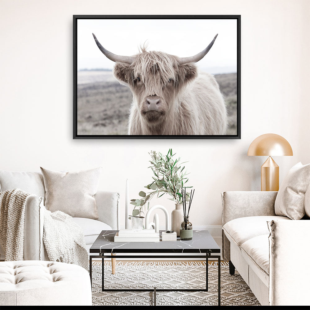 Shop Highland Cow II Photo Canvas Print a photography framed stretched canvas print from The Print Emporium wall artwork collection - Buy Australian made prints for the home and your interior decor space, TPE-305-CA-35X46-NF