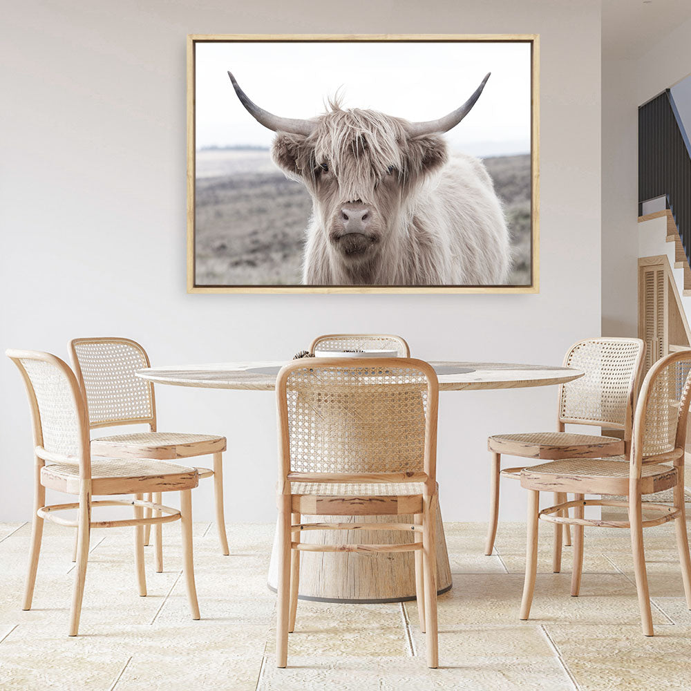 Shop Highland Cow II Photo Canvas Print a photography framed stretched canvas print from The Print Emporium wall artwork collection - Buy Australian made prints for the home and your interior decor space, TPE-305-CA-35X46-NF