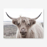 Shop Highland Cow II Photo Canvas Print a photography framed stretched canvas print from The Print Emporium wall artwork collection - Buy Australian made prints for the home and your interior decor space, TPE-305-CA-35X46-NF