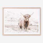 Shop Highland Cow III Photo Art Print a photography wall art print from The Print Emporium wall artwork collection - Buy Australian made fine art poster and framed prints for the home and your interior decor room, TPE-551-AP