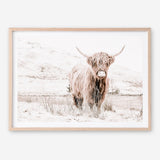 Shop Highland Cow III Photo Art Print a photography wall art print from The Print Emporium wall artwork collection - Buy Australian made fine art poster and framed prints for the home and your interior decor room, TPE-551-AP