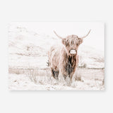 Shop Highland Cow III Photo Art Print a photography wall art print from The Print Emporium wall artwork collection - Buy Australian made fine art poster and framed prints for the home and your interior decor room, TPE-551-AP
