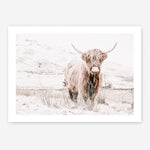Shop Highland Cow III Photo Art Print a photography wall art print from The Print Emporium wall artwork collection - Buy Australian made fine art poster and framed prints for the home and your interior decor room, TPE-551-AP
