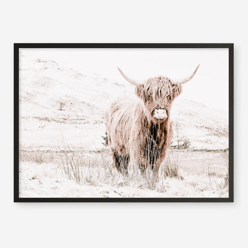Shop Highland Cow III Photo Art Print a photography wall art print from The Print Emporium wall artwork collection - Buy Australian made fine art poster and framed prints for the home and your interior decor room, TPE-551-AP