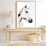 Shop Icelandic Horse Photo Art Print a photography wall art print from The Print Emporium wall artwork collection - Buy Australian made fine art poster and framed prints for the home and your interior decor room, TPE-558-AP