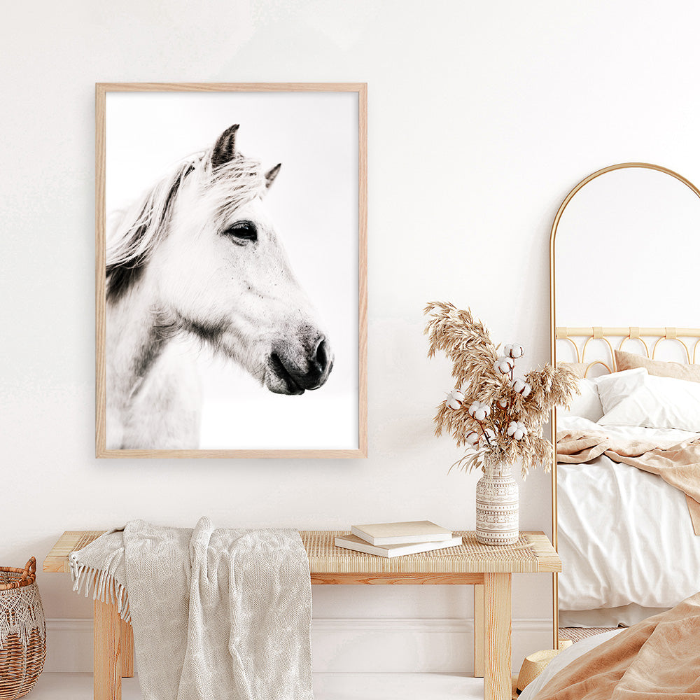 Shop Icelandic Horse Photo Art Print a photography wall art print from The Print Emporium wall artwork collection - Buy Australian made fine art poster and framed prints for the home and your interior decor room, TPE-558-AP