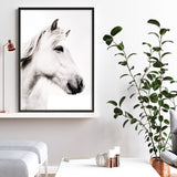 Shop Icelandic Horse Photo Art Print a photography wall art print from The Print Emporium wall artwork collection - Buy Australian made fine art poster and framed prints for the home and your interior decor room, TPE-558-AP
