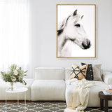 Shop Icelandic Horse Photo Canvas Print a photography framed stretched canvas print from The Print Emporium wall artwork collection - Buy Australian made prints for the home and your interior decor space, TPE-558-CA-35X46-NF