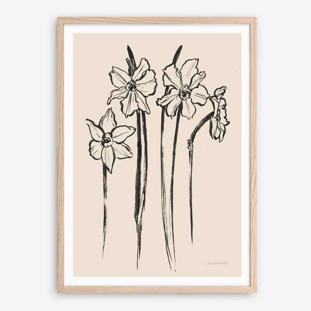Shop Ink Sketch Daffodils Art Print a floral themed painted wall art print from The Print Emporium wall artwork collection - Buy Australian made fine art painting style poster and framed prints for the home and your interior decor room, TPE-WA-74431-AP