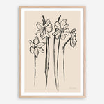 Shop Ink Sketch Daffodils Art Print a floral themed painted wall art print from The Print Emporium wall artwork collection - Buy Australian made fine art painting style poster and framed prints for the home and your interior decor room, TPE-WA-74431-AP