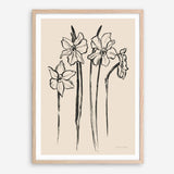 Shop Ink Sketch Daffodils Art Print a floral themed painted wall art print from The Print Emporium wall artwork collection - Buy Australian made fine art painting style poster and framed prints for the home and your interior decor room, TPE-WA-74431-AP