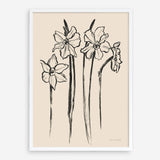 Shop Ink Sketch Daffodils Art Print a floral themed painted wall art print from The Print Emporium wall artwork collection - Buy Australian made fine art painting style poster and framed prints for the home and your interior decor room, TPE-WA-74431-AP