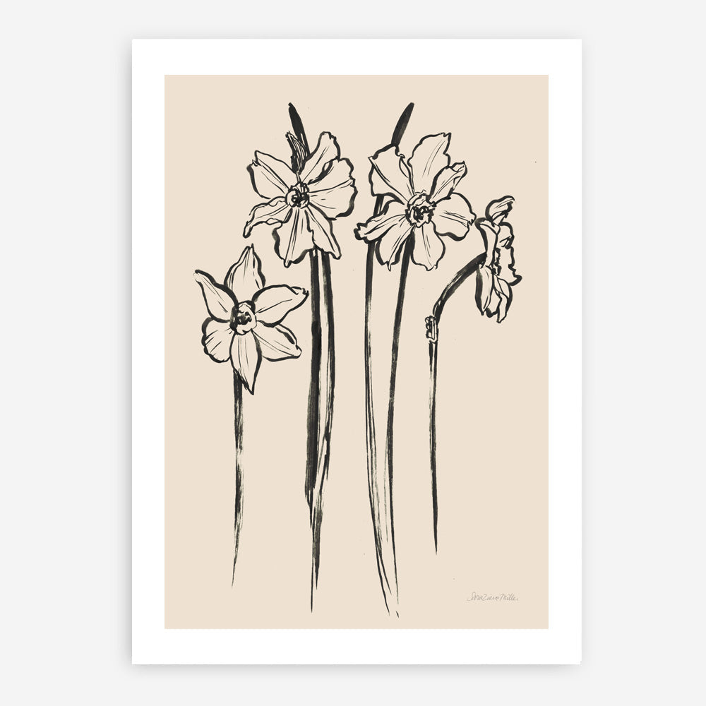 Shop Ink Sketch Daffodils Art Print a floral themed painted wall art print from The Print Emporium wall artwork collection - Buy Australian made fine art painting style poster and framed prints for the home and your interior decor room, TPE-WA-74431-AP