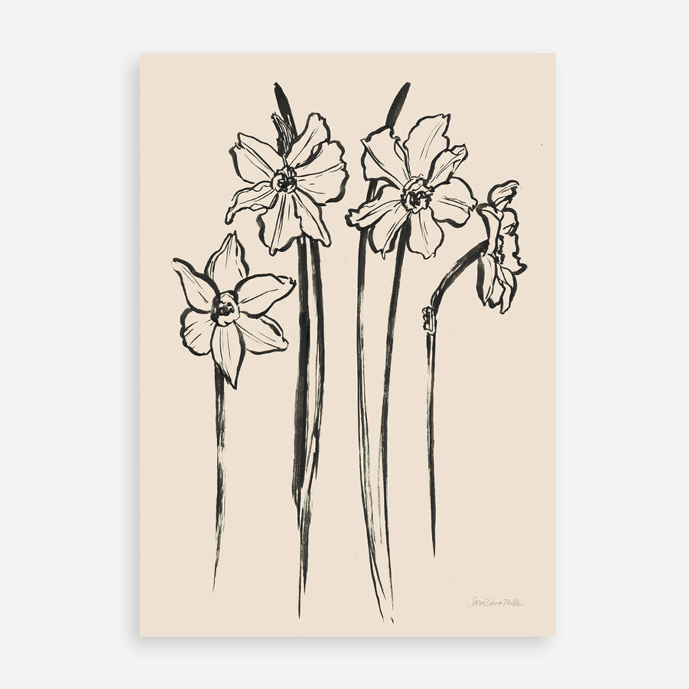 Shop Ink Sketch Daffodils Art Print a floral themed painted wall art print from The Print Emporium wall artwork collection - Buy Australian made fine art painting style poster and framed prints for the home and your interior decor room, TPE-WA-74431-AP