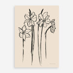 Shop Ink Sketch Daffodils Art Print a floral themed painted wall art print from The Print Emporium wall artwork collection - Buy Australian made fine art painting style poster and framed prints for the home and your interior decor room, TPE-WA-74431-AP