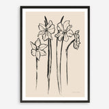 Shop Ink Sketch Daffodils Art Print a floral themed painted wall art print from The Print Emporium wall artwork collection - Buy Australian made fine art painting style poster and framed prints for the home and your interior decor room, TPE-WA-74431-AP