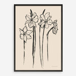 Shop Ink Sketch Daffodils Art Print a floral themed painted wall art print from The Print Emporium wall artwork collection - Buy Australian made fine art painting style poster and framed prints for the home and your interior decor room, TPE-WA-74431-AP