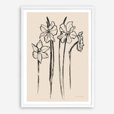 Shop Ink Sketch Daffodils Art Print a floral themed painted wall art print from The Print Emporium wall artwork collection - Buy Australian made fine art painting style poster and framed prints for the home and your interior decor room, TPE-WA-74431-AP