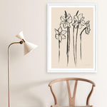 Shop Ink Sketch Daffodils Art Print a floral themed painted wall art print from The Print Emporium wall artwork collection - Buy Australian made fine art painting style poster and framed prints for the home and your interior decor room, TPE-WA-74431-AP