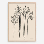 Shop Ink Sketch Daffodils Art Print a floral themed painted wall art print from The Print Emporium wall artwork collection - Buy Australian made fine art painting style poster and framed prints for the home and your interior decor room, TPE-WA-74431-AP
