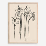 Shop Ink Sketch Daffodils Art Print a floral themed painted wall art print from The Print Emporium wall artwork collection - Buy Australian made fine art painting style poster and framed prints for the home and your interior decor room, TPE-WA-74431-AP