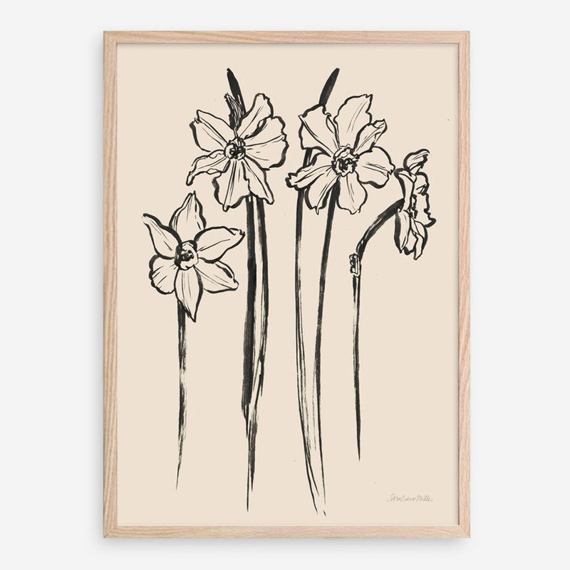 Shop Ink Sketch Daffodils Art Print a floral themed painted wall art print from The Print Emporium wall artwork collection - Buy Australian made fine art painting style poster and framed prints for the home and your interior decor room, TPE-WA-74431-AP