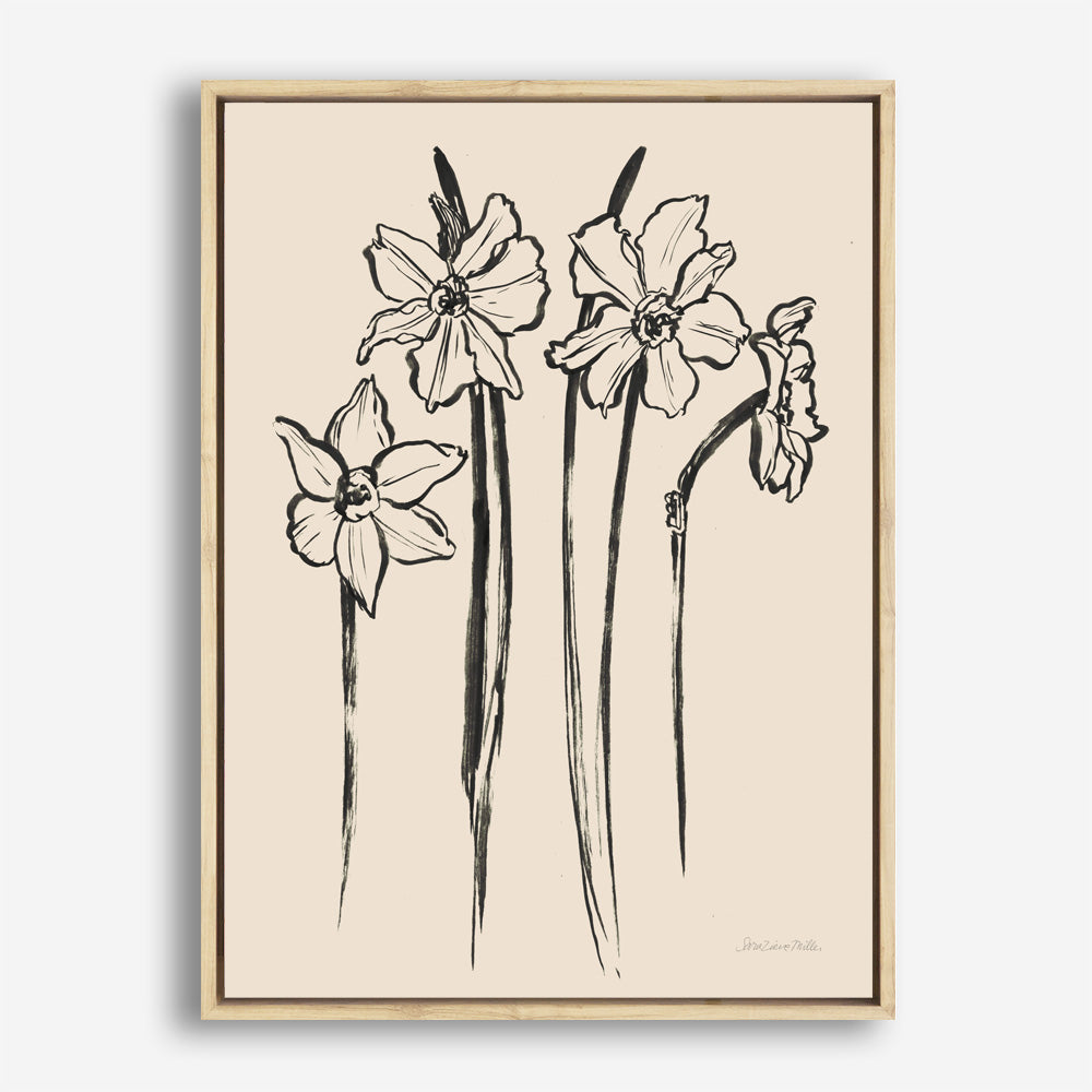 Shop Ink Sketch Daffodils Canvas Print a floral themed painted framed canvas wall art print from The Print Emporium artwork collection - Buy Australian made fine art painting style stretched canvas prints for the home and your interior decor space, TPE-WA-74431-CA-35X46-NF