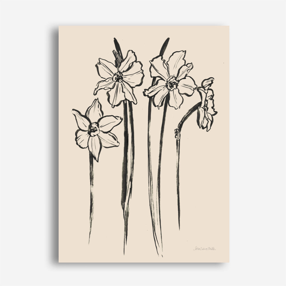 Shop Ink Sketch Daffodils Canvas Print a floral themed painted framed canvas wall art print from The Print Emporium artwork collection - Buy Australian made fine art painting style stretched canvas prints for the home and your interior decor space, TPE-WA-74431-CA-35X46-NF