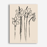 Shop Ink Sketch Daffodils Canvas Print a floral themed painted framed canvas wall art print from The Print Emporium artwork collection - Buy Australian made fine art painting style stretched canvas prints for the home and your interior decor space, TPE-WA-74431-CA-35X46-NF