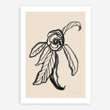 Shop Ink Sketch Flower Art Print a floral themed painted wall art print from The Print Emporium wall artwork collection - Buy Australian made fine art painting style poster and framed prints for the home and your interior decor room, TPE-WA-74430-AP