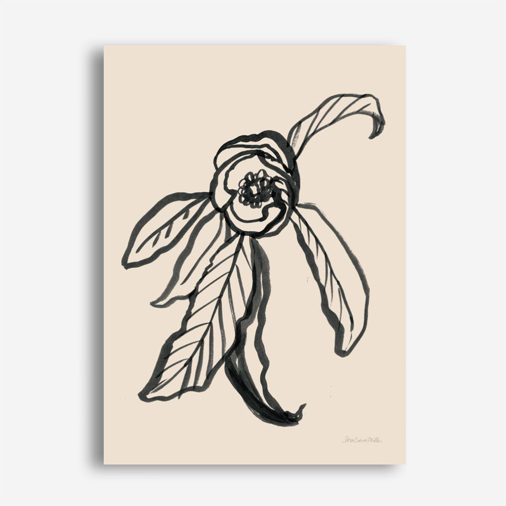 Shop Ink Sketch Flower Canvas Print a floral themed painted framed canvas wall art print from The Print Emporium artwork collection - Buy Australian made fine art painting style stretched canvas prints for the home and your interior decor space, TPE-WA-74430-CA-35X46-NF
