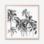 Shop Island Coconut Palms I (Square) Photo Art Print a photography wall art print from The Print Emporium wall artwork collection - Buy Australian made fine art poster and framed prints for the home and your interior decor room, TPE-1282-AP