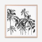 Shop Island Coconut Palms I (Square) Photo Art Print a photography wall art print from The Print Emporium wall artwork collection - Buy Australian made fine art poster and framed prints for the home and your interior decor room, TPE-1282-AP