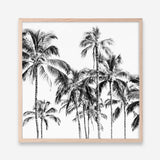 Shop Island Coconut Palms I (Square) Photo Art Print a photography wall art print from The Print Emporium wall artwork collection - Buy Australian made fine art poster and framed prints for the home and your interior decor room, TPE-1282-AP