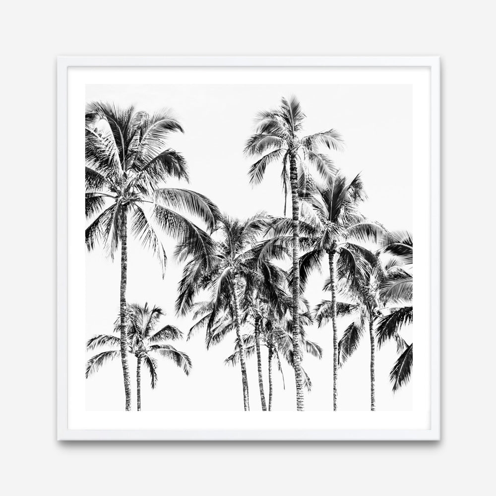 Shop Island Coconut Palms I (Square) Photo Art Print a photography wall art print from The Print Emporium wall artwork collection - Buy Australian made fine art poster and framed prints for the home and your interior decor room, TPE-1282-AP