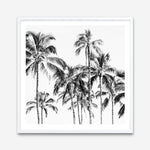 Shop Island Coconut Palms I (Square) Photo Art Print a photography wall art print from The Print Emporium wall artwork collection - Buy Australian made fine art poster and framed prints for the home and your interior decor room, TPE-1282-AP