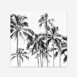 Shop Island Coconut Palms I (Square) Photo Art Print a photography wall art print from The Print Emporium wall artwork collection - Buy Australian made fine art poster and framed prints for the home and your interior decor room, TPE-1282-AP