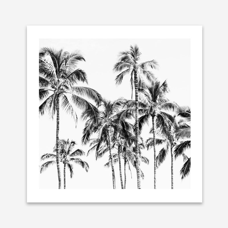 Shop Island Coconut Palms I (Square) Photo Art Print a photography wall art print from The Print Emporium wall artwork collection - Buy Australian made fine art poster and framed prints for the home and your interior decor room, TPE-1282-AP
