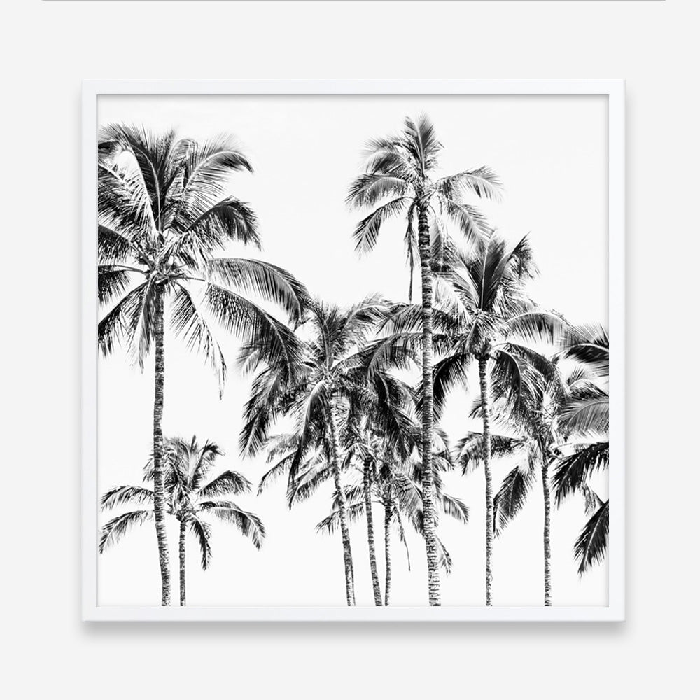 Shop Island Coconut Palms I (Square) Photo Art Print a photography wall art print from The Print Emporium wall artwork collection - Buy Australian made fine art poster and framed prints for the home and your interior decor room, TPE-1282-AP