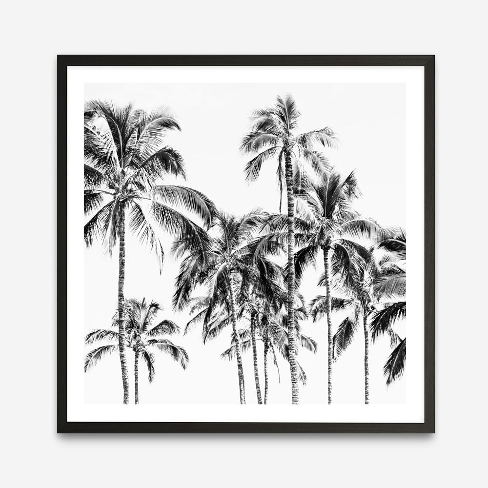 Shop Island Coconut Palms I (Square) Photo Art Print a photography wall art print from The Print Emporium wall artwork collection - Buy Australian made fine art poster and framed prints for the home and your interior decor room, TPE-1282-AP