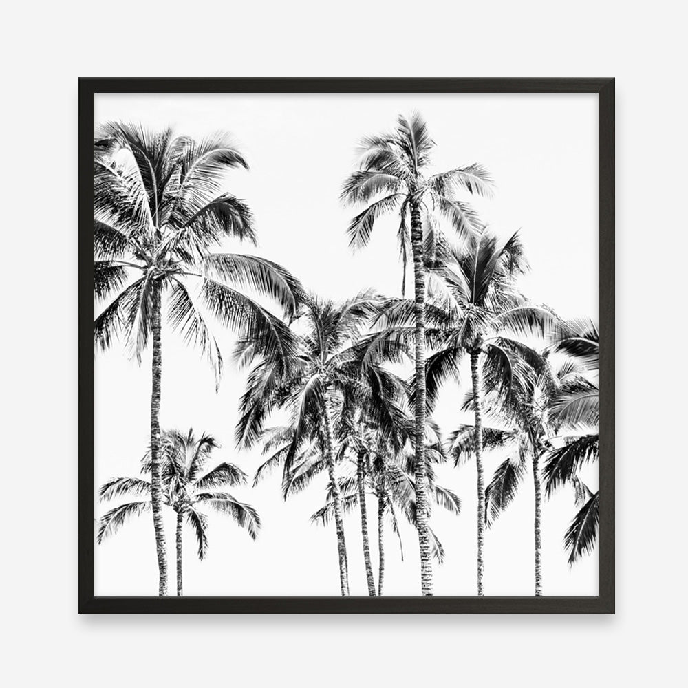 Shop Island Coconut Palms I (Square) Photo Art Print a photography wall art print from The Print Emporium wall artwork collection - Buy Australian made fine art poster and framed prints for the home and your interior decor room, TPE-1282-AP