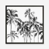 Shop Island Coconut Palms I (Square) Photo Art Print a photography wall art print from The Print Emporium wall artwork collection - Buy Australian made fine art poster and framed prints for the home and your interior decor room, TPE-1282-AP