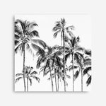 Shop Island Coconut Palms I (Square) Photo Canvas Print a photography framed stretched canvas print from The Print Emporium wall artwork collection - Buy Australian made prints for the home and your interior decor space, TPE-1282-CA-40X40-NF
