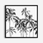 Shop Island Coconut Palms I (Square) Photo Canvas Print a photography framed stretched canvas print from The Print Emporium wall artwork collection - Buy Australian made prints for the home and your interior decor space, TPE-1282-CA-40X40-NF