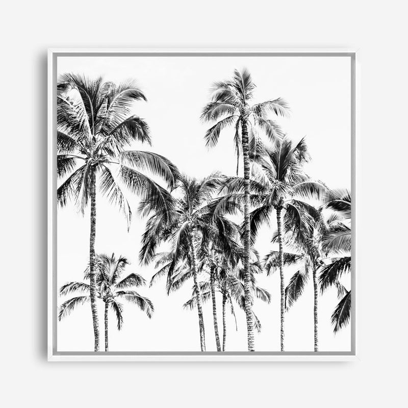 Shop Island Coconut Palms I (Square) Photo Canvas Print a photography framed stretched canvas print from The Print Emporium wall artwork collection - Buy Australian made prints for the home and your interior decor space, TPE-1282-CA-40X40-NF