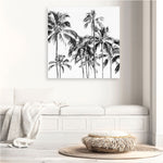 Shop Island Coconut Palms I (Square) Photo Canvas Print a photography framed stretched canvas print from The Print Emporium wall artwork collection - Buy Australian made prints for the home and your interior decor space, TPE-1282-CA-40X40-NF