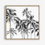 Shop Island Coconut Palms I (Square) Photo Canvas Print a photography framed stretched canvas print from The Print Emporium wall artwork collection - Buy Australian made prints for the home and your interior decor space, TPE-1282-CA-40X40-NF