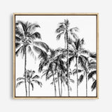 Shop Island Coconut Palms I (Square) Photo Canvas Print a photography framed stretched canvas print from The Print Emporium wall artwork collection - Buy Australian made prints for the home and your interior decor space, TPE-1282-CA-40X40-NF