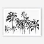 Shop Island Coconut Palms Photo Art Print a coastal themed photography wall art print from The Print Emporium wall artwork collection - Buy Australian made fine art poster and framed prints for the home and your interior decor, TPE-1281-AP